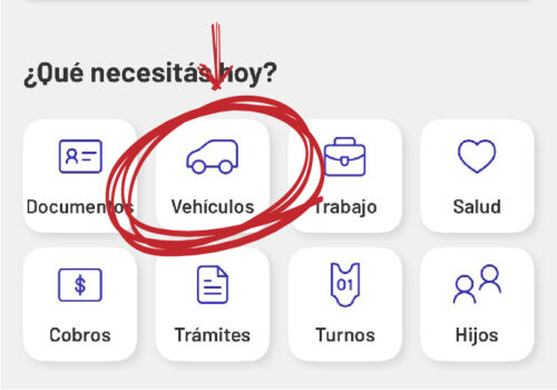 Chau cedula azul
